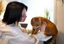 pet sitters new orleans