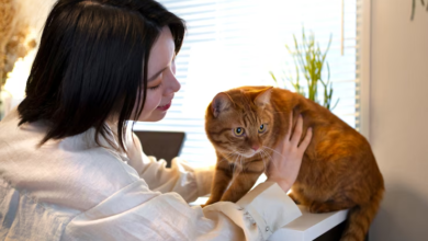 pet sitters new orleans